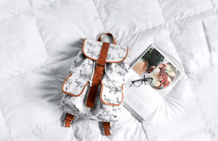 Mauris porttitor est felis sagittis